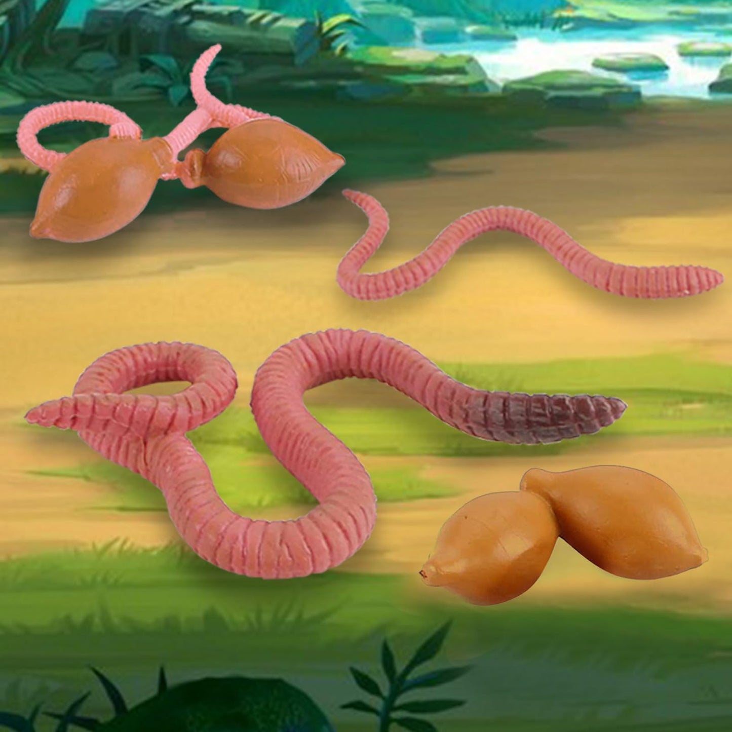 Life Cycle of Earthworm Toys Earthworm Life Cycle Figurines Set Realistic Preschool Animals Figures Eduactional Project Diorama Model Toy for Kids