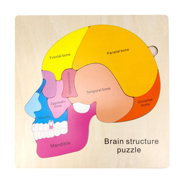 Wooden Brain Anatomy Puzzles For Kids, Toddler Montessori 16 Pieces Brain Structure Puzzle, 3-Layer Human Brain Parts Learning E