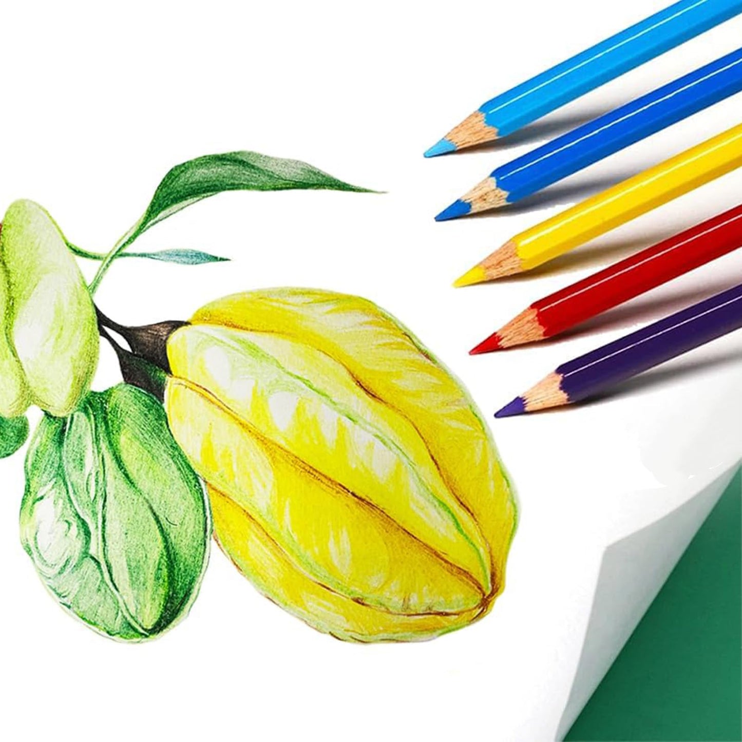 Skkstationery 50Pcs Colored Pencils,50 Vibrant Colors, Drawing Pencils For Sketch, Arts, Coloring Books, Christmas Halloween Gifts
