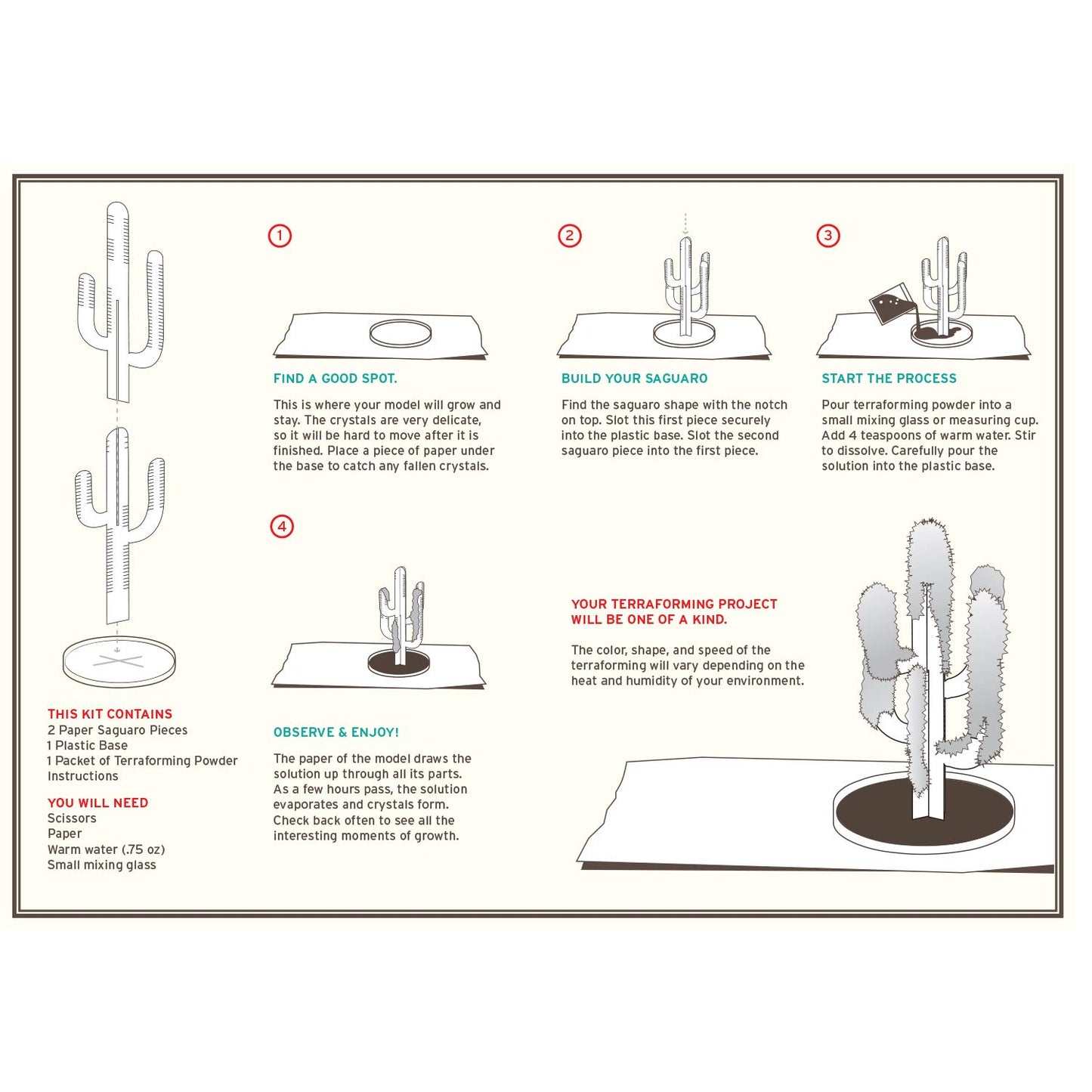 Copernicus Toys Crystal Growing Saguaro Cactus Official Terraformer Kit | Grows In Hours | Facts And Instructions Included