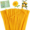 Giwrmu 100 Pieces Pipe Cleaners Chenille Stem, Light Golden Pipe Cleaners Craft, Fuzzy Sticks Craft Supplies, Colored Pipe Clean