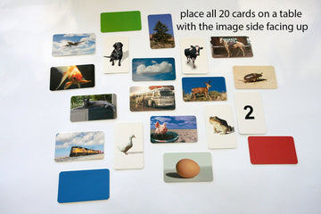 Flash Of Brilliance First Word Game One-Syllable Words For Early Readers