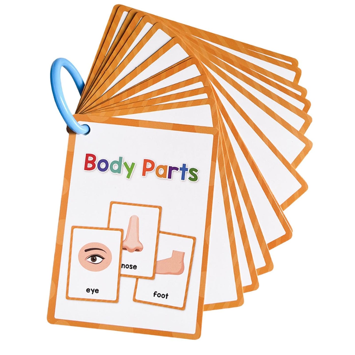 Zoomella Body Parts Flash Cards Cognitive Educational Toys Kindergarten Baby Children|Other Educational Toys|Toys & Hobbies