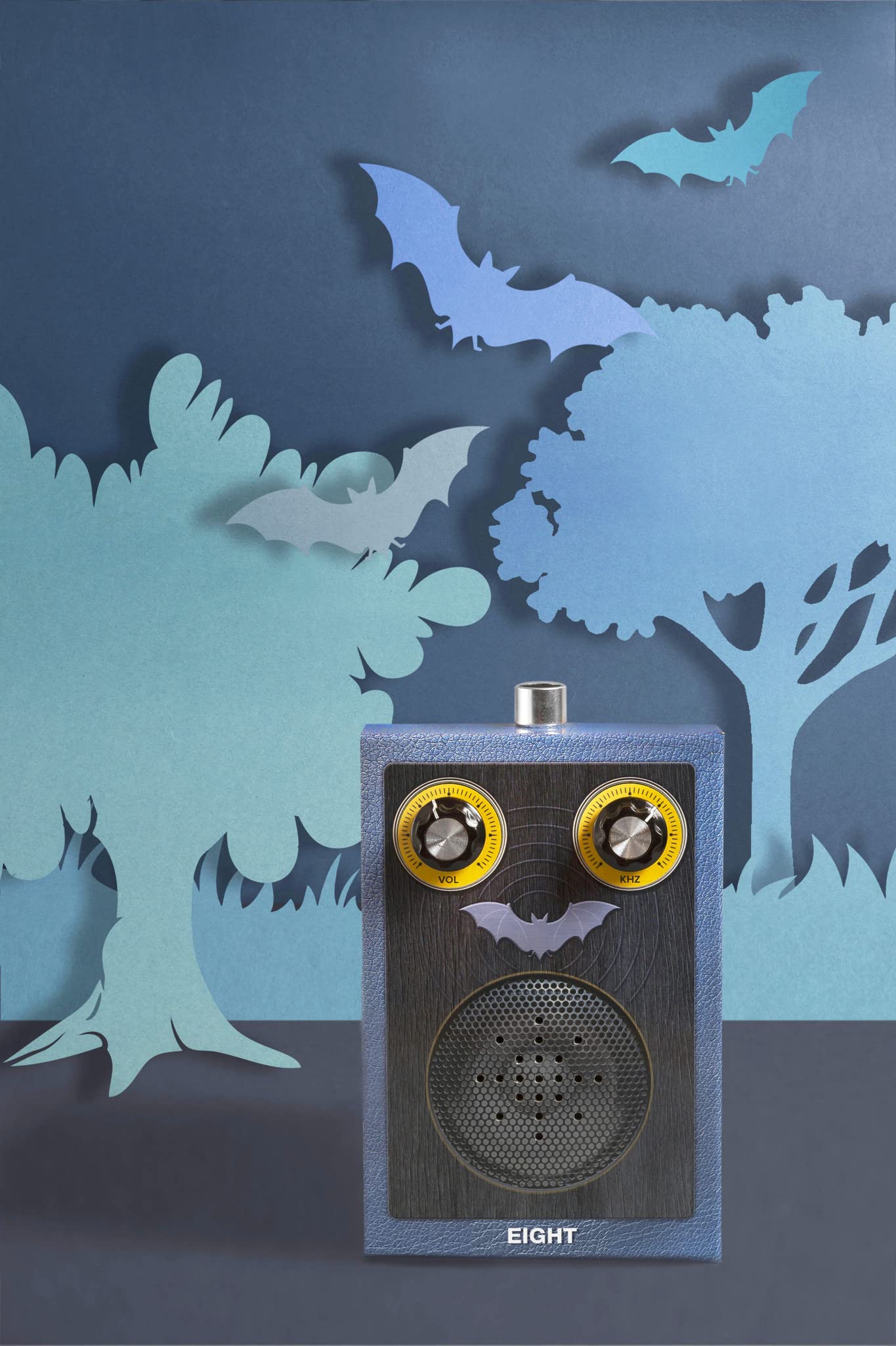 Eight Innovation EBD2766 Eight Build Complete Construction Kit to Create Your Own Fully Functioning Bat Detector, One Size, for