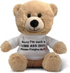Witty Enterprise 10 Beige Teddy Bear with Gift Bag - Funny Apology Plush for Girlfriend, Boyfriend, Best Friend