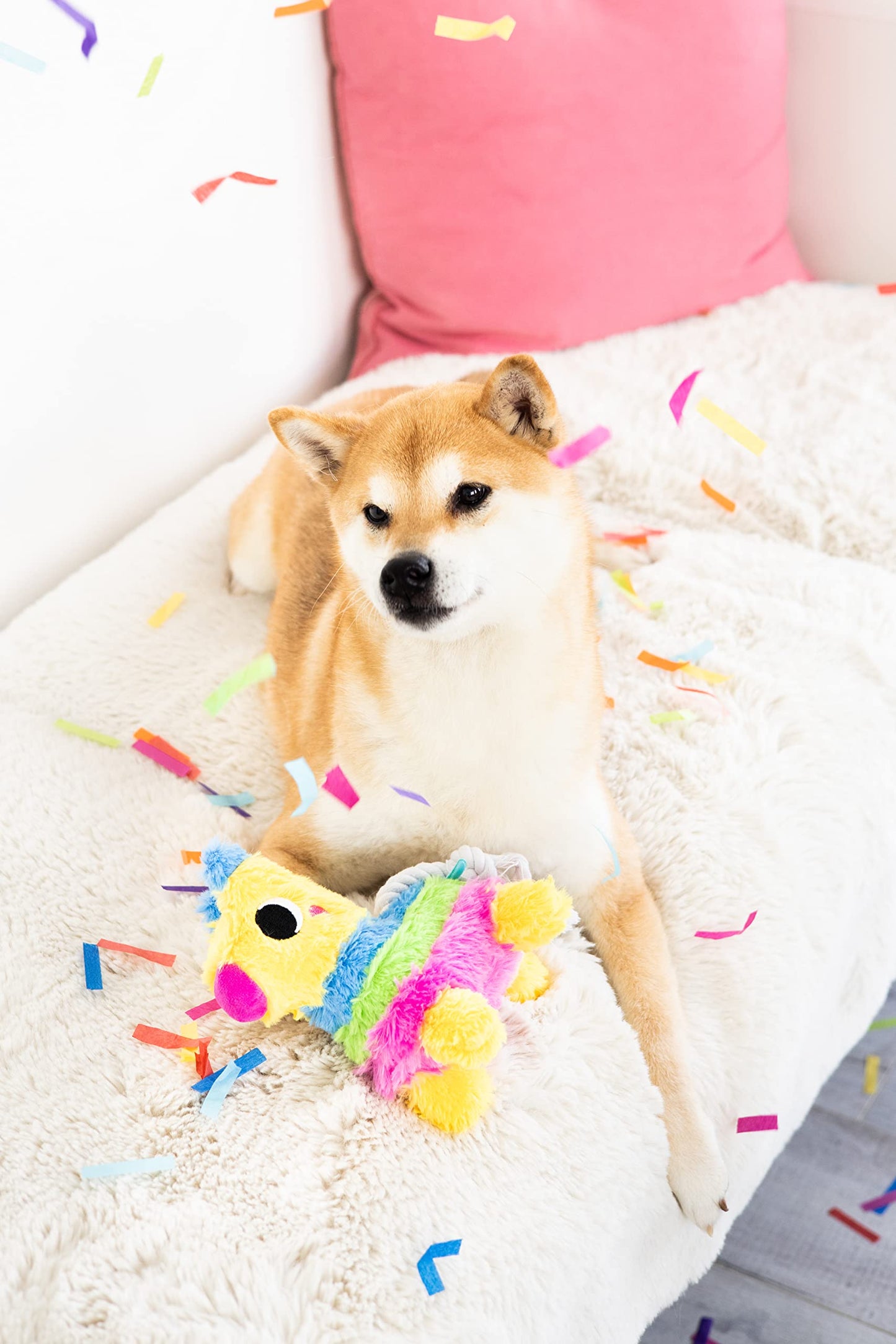 Pearhead Puppy Pinata Dog Toy, Rope Tug Toy for Dogs, Colorful Interactive Dog Toys, Party Pinata Toy for Dogs, Plush Chew Toy,