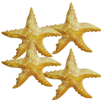 Jet Creations Inflatable Animals 20 Inch Wide Pack Of 4 Star Fish Party Pool Supplies Favors Birthday Gifts For Kids An-Star4, M