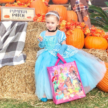 SNDSHOP Cinderella Princess Dress Costume for Toddler Girls Halloween 2-11T