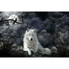 WACYDSD Jigsaw Puzzle 1000 Piece Crow and White Wolf mature-themed Puzzle Kids Puzzle Wooden Puzzle Toy DIY Kit Home Decor 75x50cm
