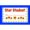 North Star Teacher Resource Student Incentive Punch Cards