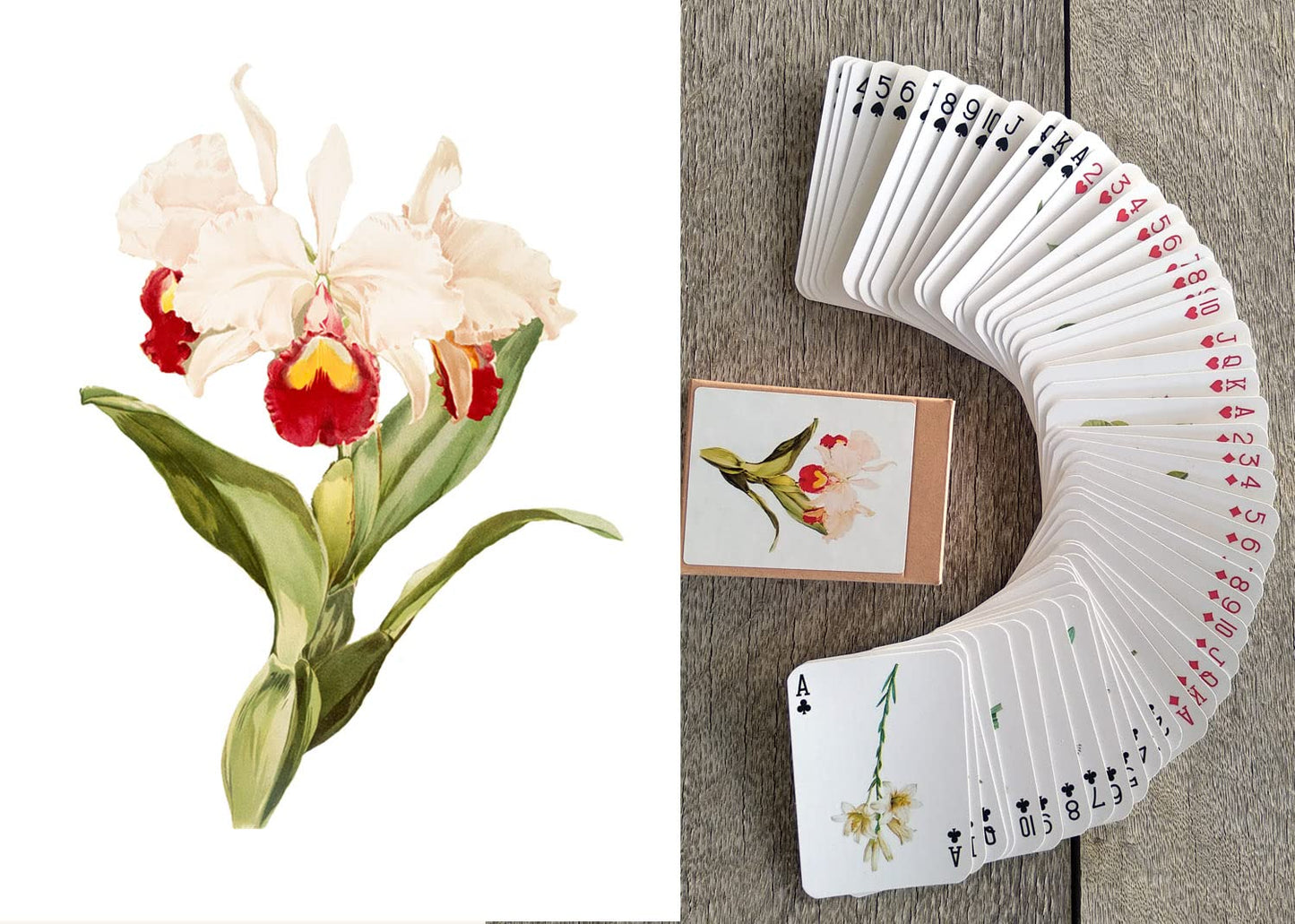 FLONZGIFT Beautiful Flowers Playing Cards (Poker Deck 54 Cards All Different) Vintage Flowers Botannical Illustration by Redoute