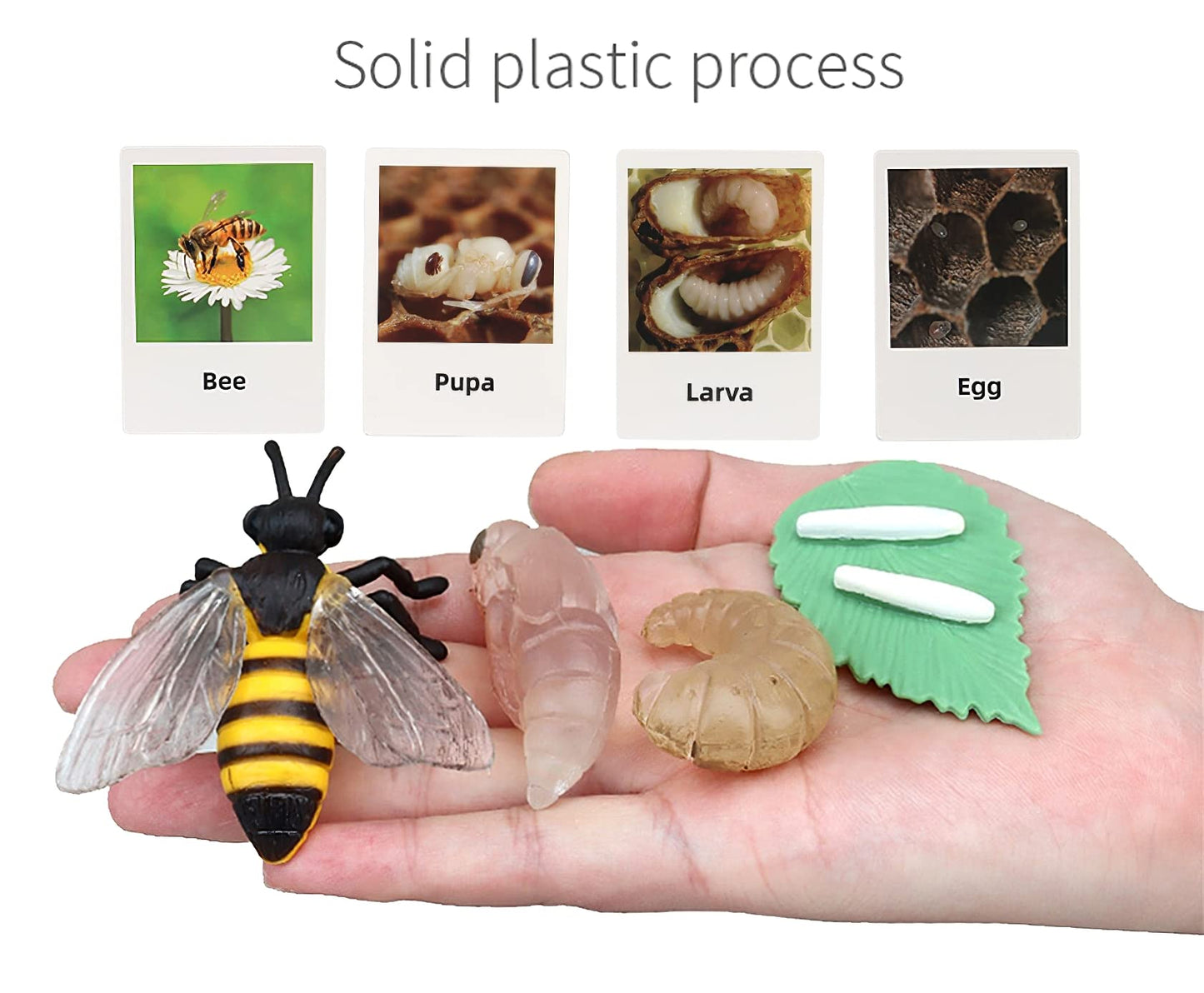 Montessori Life Cycle Animal Figurines Learning & Education Toys, Plastic Insect Life Cycle Toys For Kids, Preschool Learning Activities For Toddlers (Plant Bee Ant)