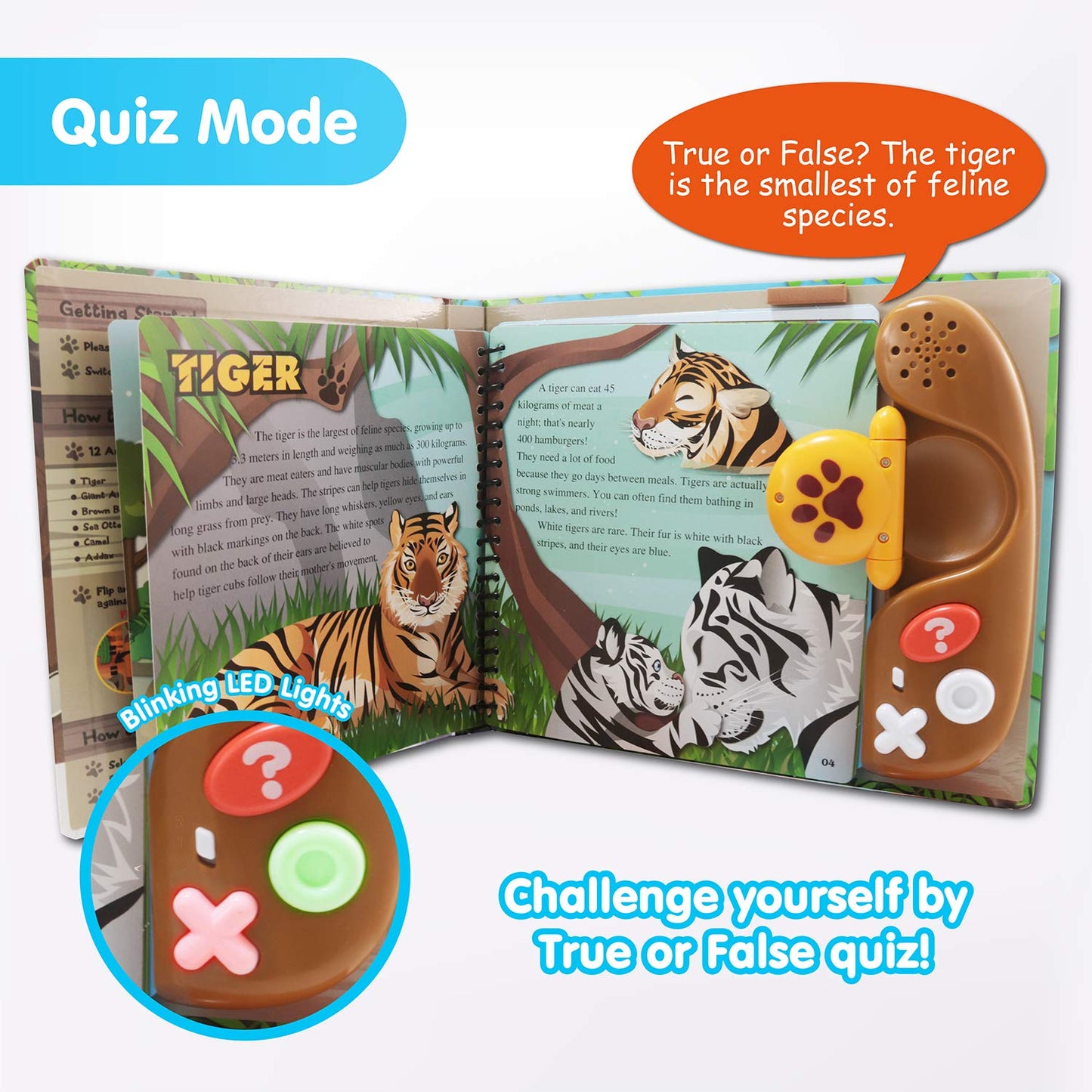 Best Learning Book Reader Animal Kingdom - Educational Talking Sound Toy To Learn Animals With Quiz Games For Kids Ages 3 To 8 Y