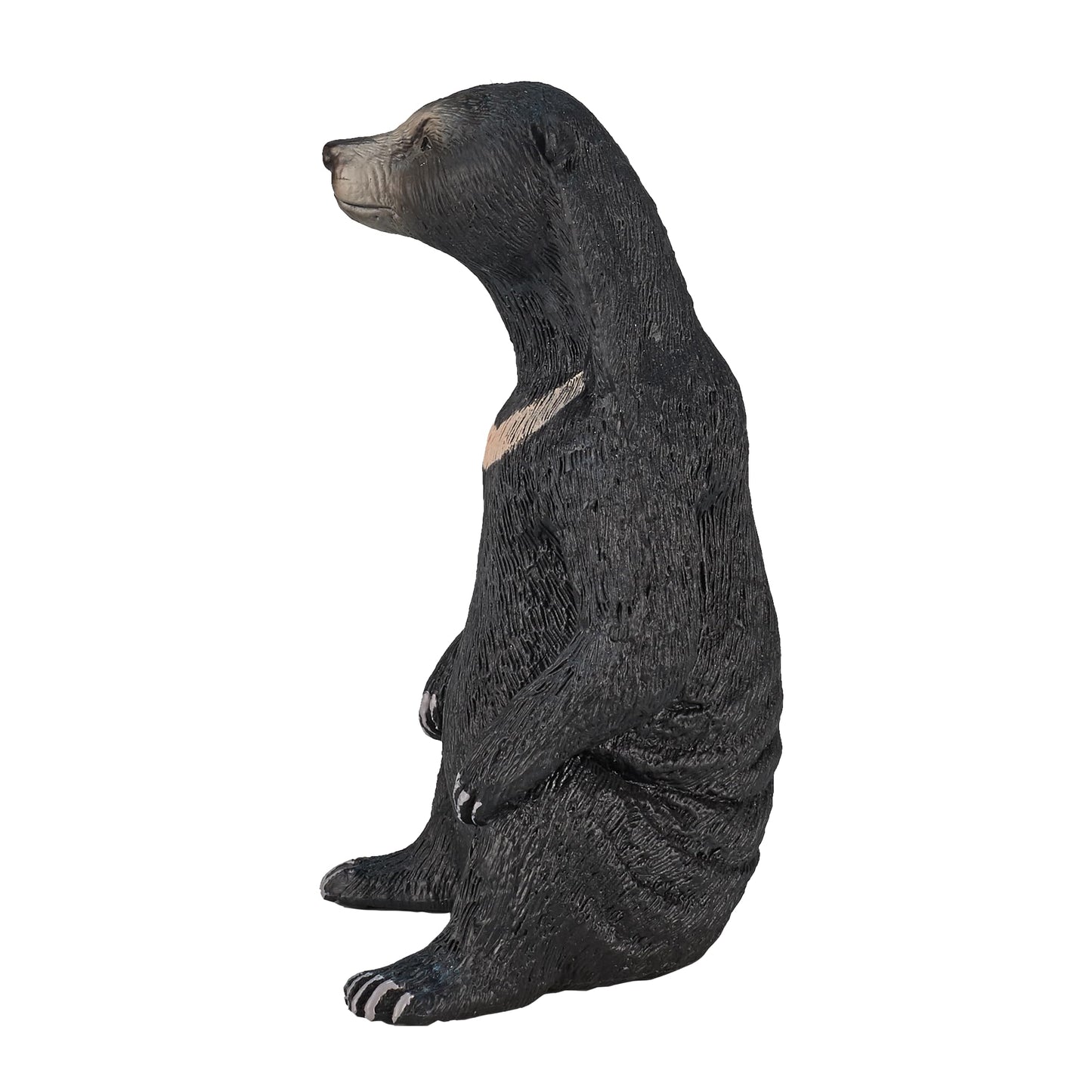 Mojo Sun Bear Realistic International Wildlife Hand Painted Toy Figurine