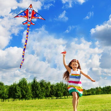 Xida Airplane Kite For Adults, Easy To Fly Fighter Kites For Kids Ages 4-8, Beginner Kite For Boys And Girls, Kite Handle And Li
