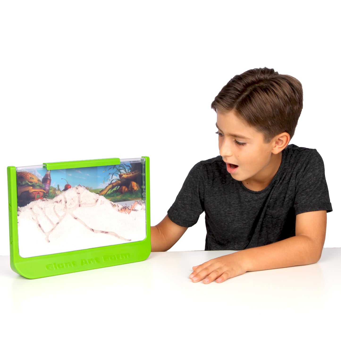 Uncle Milton Giant Ant Farm - Large Green Viewing Area - Live Ant Care - Nature Learning Science DIY Kit for Kids