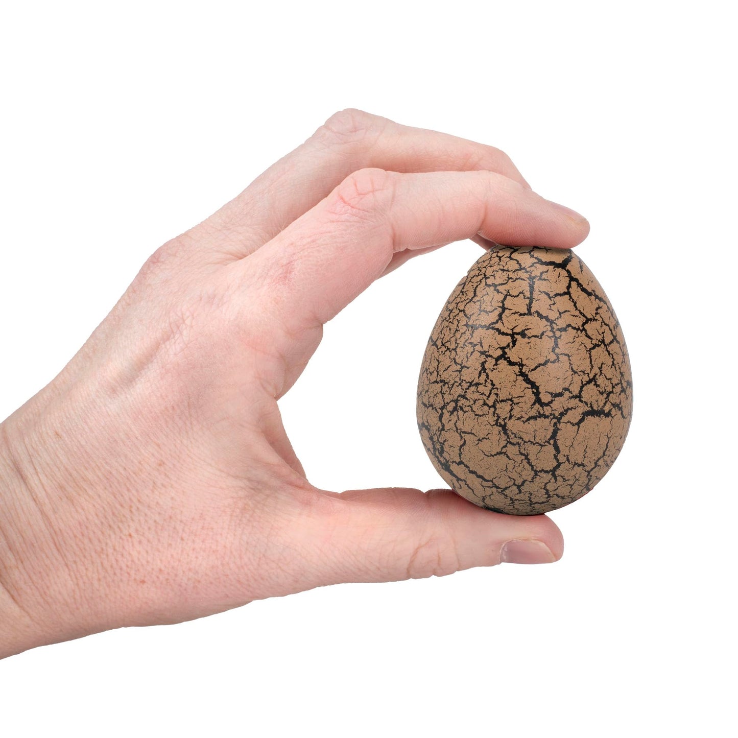 Class Collections Surprise Growing Dragon Hatch Egg Kids Novelty Toy - Pack Of 2, Brown And Red