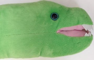 The Petting Zoo 54 EEL Plush Toy - Green Stuffed Animal for Kids, Wild Onez Ocean Animals Gift