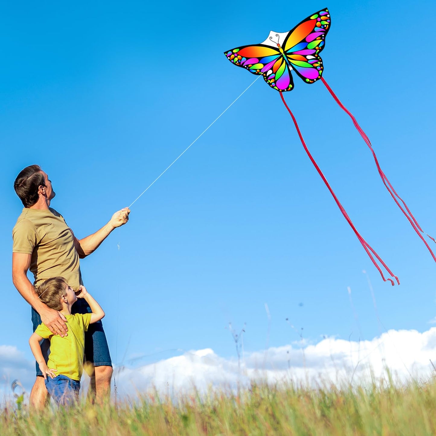 Lanrui Butterfly Kites For Kids & Adults,Easy To Fly Kite, Beginner Kites For Kids Ages 4-8,Beach Kite (Rainbow)