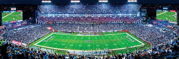 MasterPieces 1000 Piece Sports Jigsaw Puzzle - NFL Tennessee Titans Center View Panoramic - 13x39