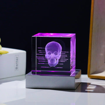 Movdyka 3D Crystal Human Skull Skeleton Model Graduation Gifts For Medical Students, Laser Etched Skull Decor Lamp Figurine Paperweight Science Biology Doctor Gift For Him Her