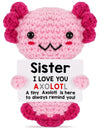 Weming Crochet Axolotl Gifts for Sisters, Polyester, Granddaughter, Model ALOTL, Perfect for Birthdays & Holidays
