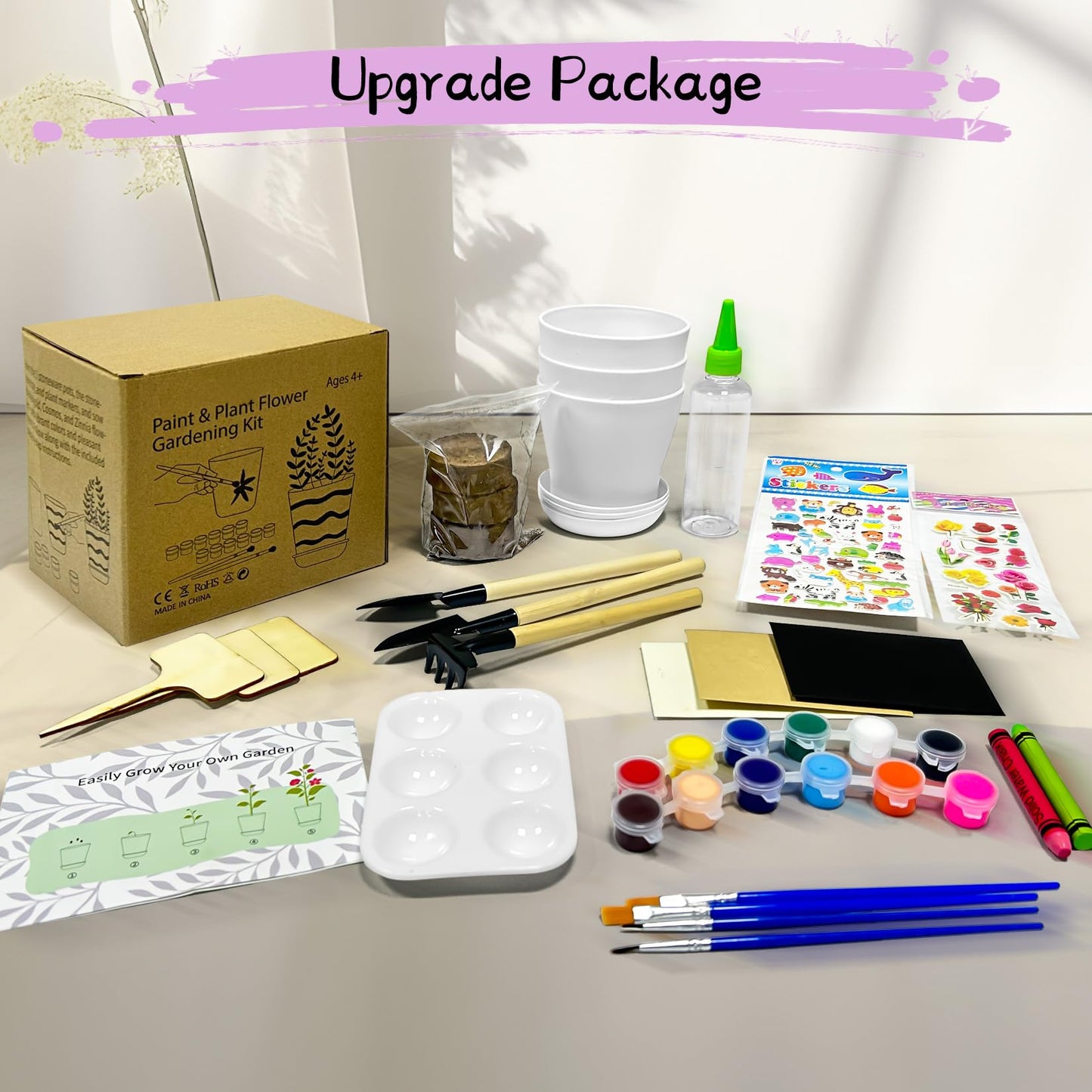Ozzagar Paint & Plant Gardening Kit for Kids, Multicolor, Medium, Plastic, Ideal Gift for Ages 4-14