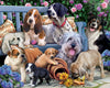 Vermont Christmas Company 1000 Piece Jigsaw Puzzle - Dogs on a Bench, Multicolor, Cardboard, Model VC149