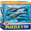 EuroGraphics Whales & Dolphins Jigsaw Puzzle - 100 Piece Cardboard Puzzle