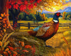 Springbok Golden Fields Pheasant 500 Piece Puzzle for mature-themeds - Colorful Pheasant in a Fall Outdoor Scene