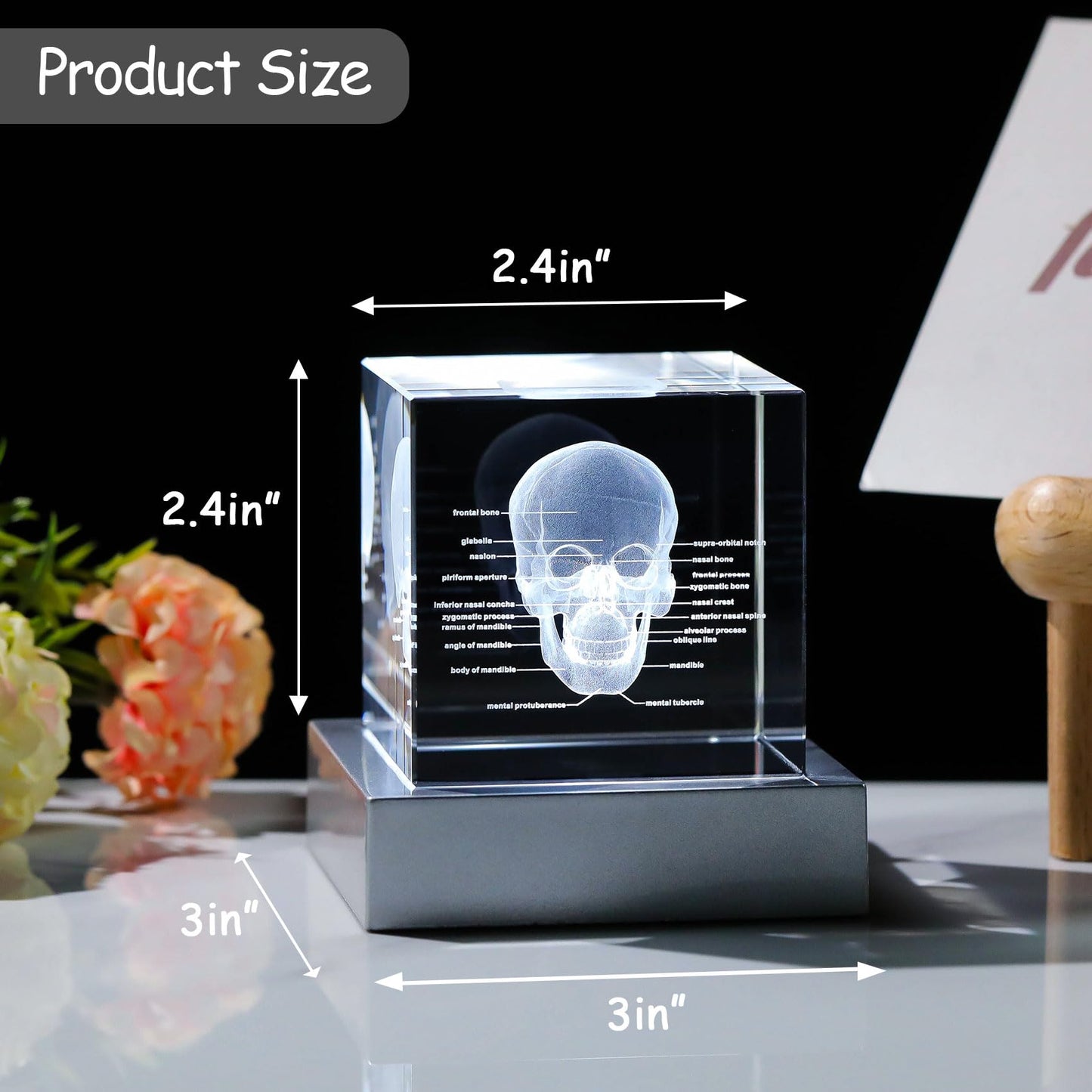 Movdyka 3D Crystal Human Skull Skeleton Model Graduation Gifts For Medical Students, Laser Etched Skull Decor Lamp Figurine Paperweight Science Biology Doctor Gift For Him Her