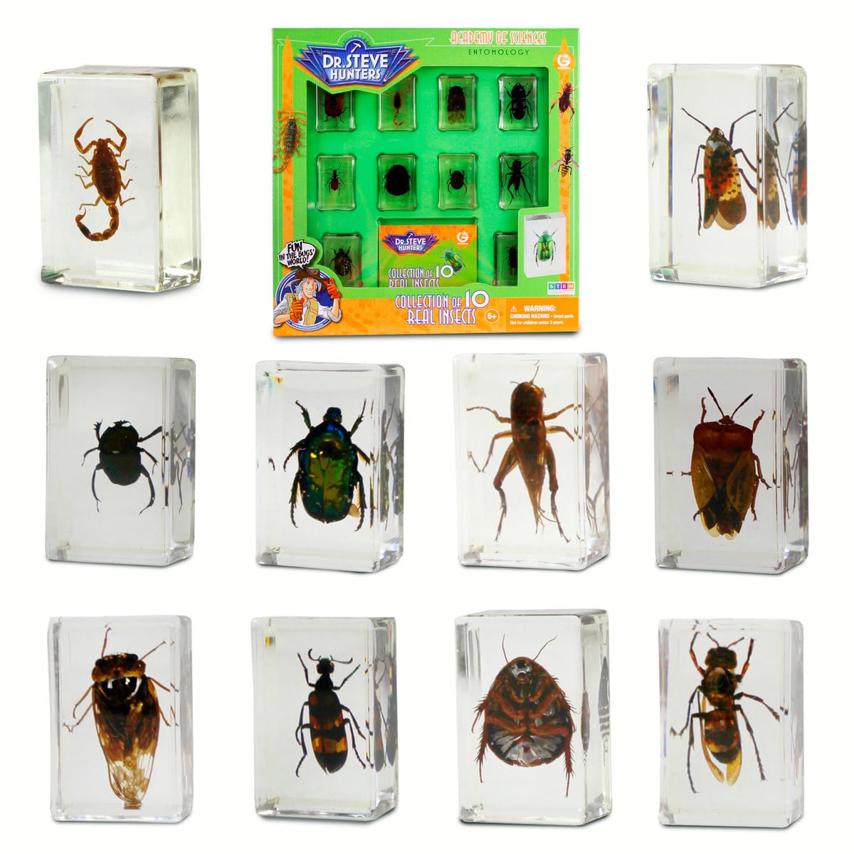 Geoworld 10 Insect Specimens Set - Real Beetles, Scorpions, Crickets In Resin With Magnifying Glass & Booklet - Great For Science Projects - Kids Scientific Educational Toy