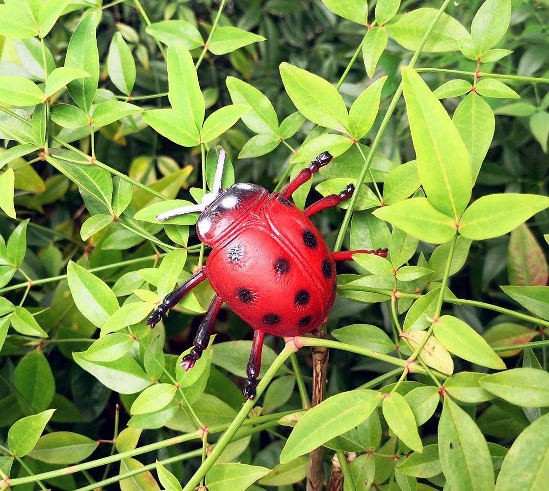 Guaishou Big Insect Toy Plastic Model Lifelike Assorted Figures Realistic Insects Toys 12 PCS Bee Beetle Mantis Spider Ladybug