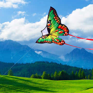 Honbo Rainbow Butterfly Kite For Adults,Single Line Kites For Kids Ages 4-8, Easy To Fly Kite With 200Ft Line And Kite Handle, Wonderful Kite For Beach, Park (Green)