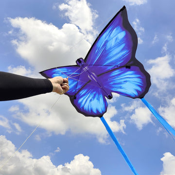 Simxkai 3 Pack Kites-Rainbow Delta Kite, Red Mollusc Octopus Kite, Blue Butterfly Kite Easy To Fly Beach Kites For Kids & Adults, Each Kite With 320Ft String Handle