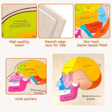 Wooden Brain Anatomy Puzzles For Kids, Toddler Montessori 16 Pieces Brain Structure Puzzle, 3-Layer Human Brain Parts Learning E