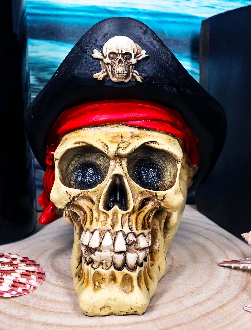 Ebros Gift Badass Pirate Captain Marauder Skull With Golden Earring Statue Captain Hook Skeleton Cranium With Crossbones Hat Figurine Skulls Skeletons
