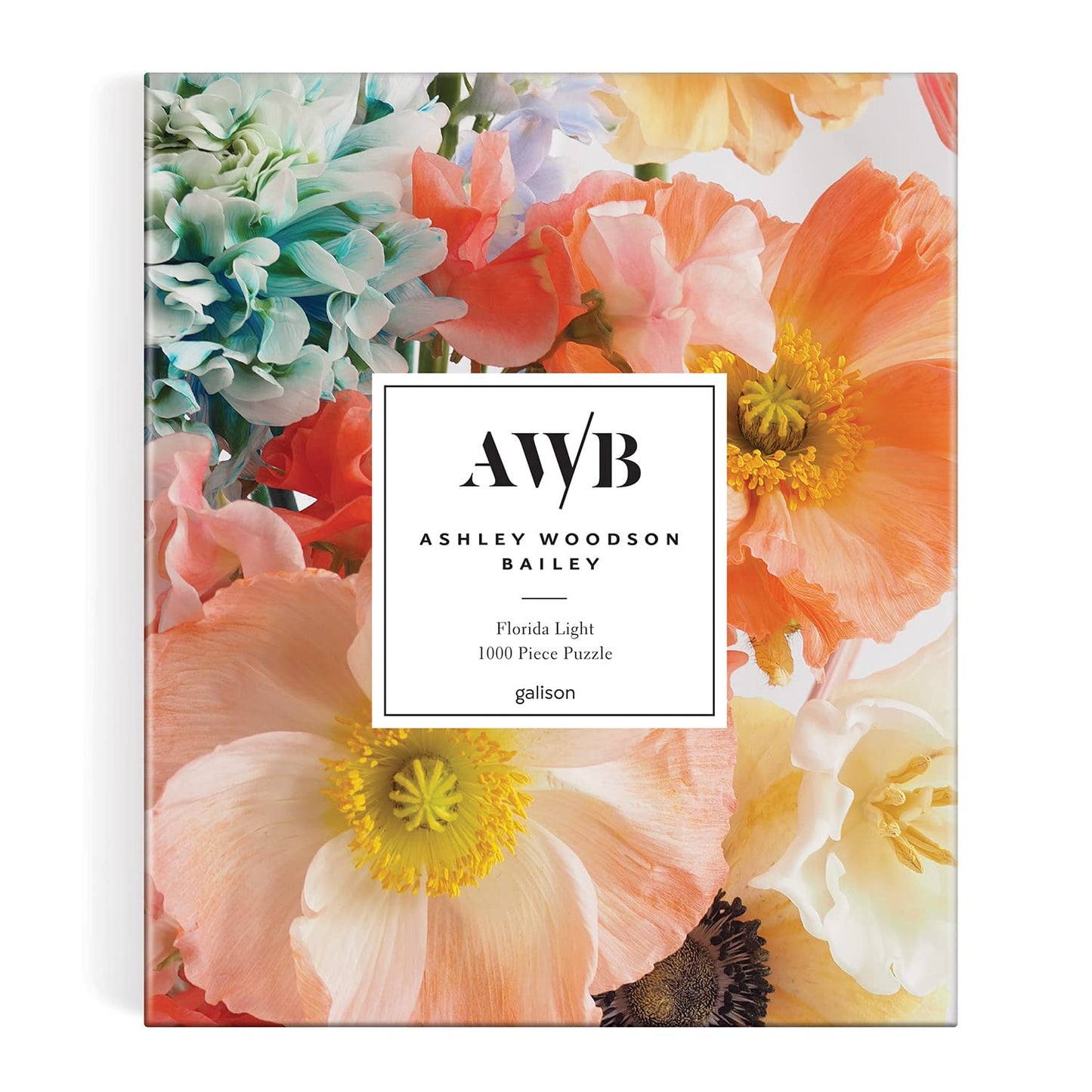 Ashley Woodson Bailey Florida Light 1000 Piece Puzzle From Galison - Jigsaw Puzzle For Adults, Beautiful Photography From Ashley Woodson Bailey, Thick And Sturdy Pieces, Fun And Challenging Activity