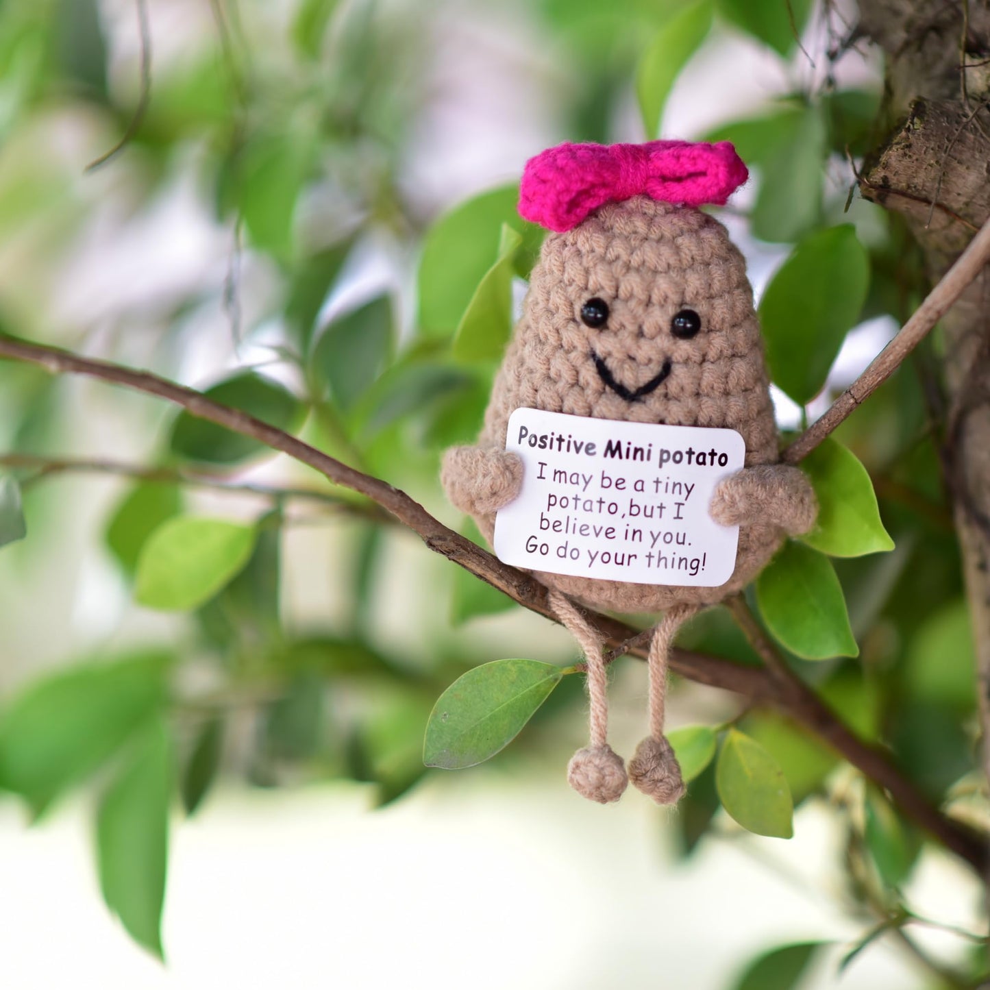 Qyqkfly 1 Pcs Positive Mini Funny Potato Holding Card Crochet Easter Birthday Christmas Mom Dad Sister Friend Wife Husband Colleauge College Students Coworkes Cheer Up Gift Decor