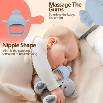 Baby Fruit/Fresh Food Feeder With Breastmilk Popsicle Molds & Baby Teether Combo Food Grade Silicon For 6M+ Breastmilk Pops, Fro