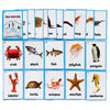 20Pcs/Set Sea Animals Kids Gifts English Flash Cards Pocket Card Educational Learning Baby Toys For Children Pre-Kindergarten