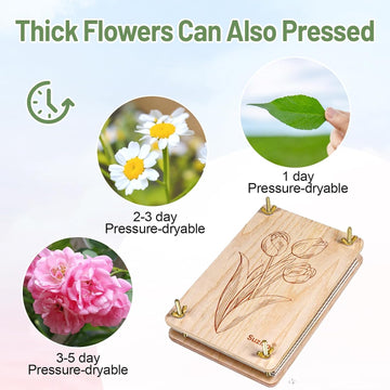Suziko Large Flower Press Kit For Adults& Kids 10.8'' X 6.9'' Flower &Plant Preservation Kit Arts And Crafts For Adults Leaf Pre