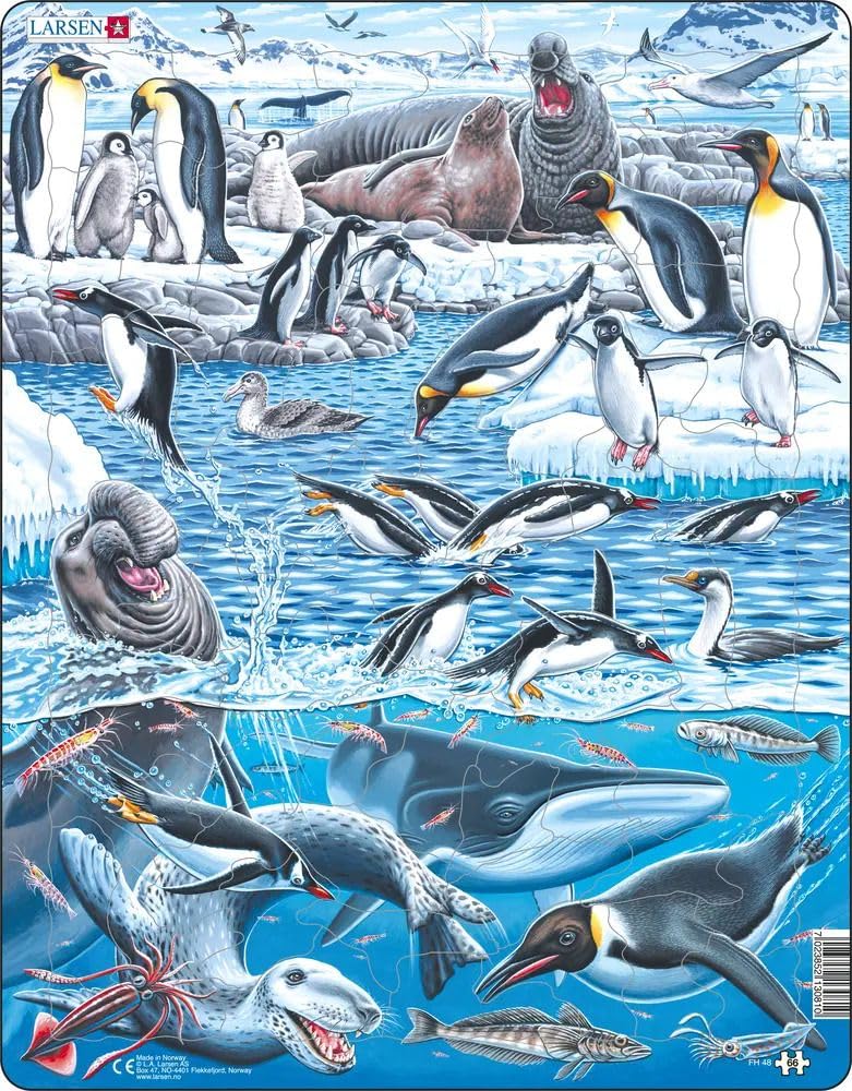 Larsen Puzzles Beautiful Antarctica 66 Piece Childrens Educational Jigsaw Puzzle