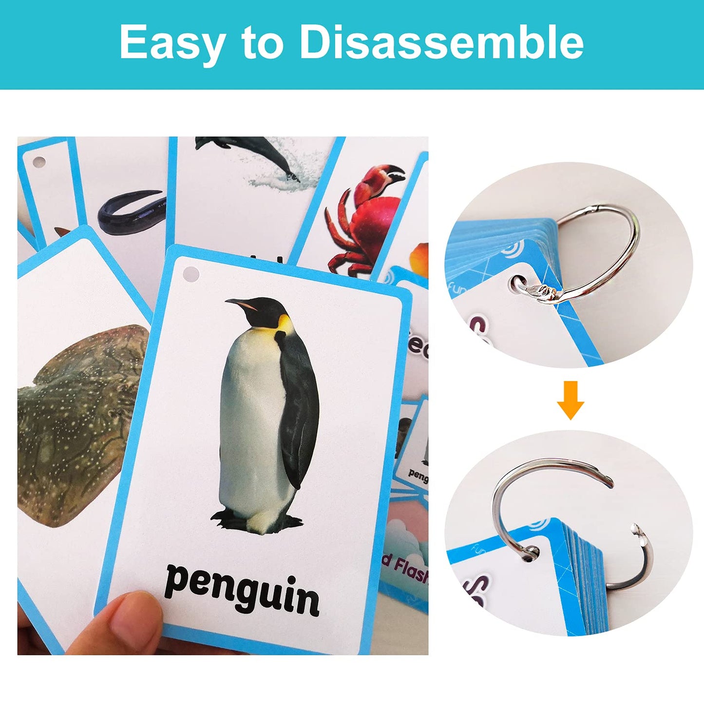 Lilias Sea Animals Flash Cards, Toddler Learning Toys, Preschool Learning Toys, Homeschool Supplies, Learning Supplies For Kindergarten, 4.3 X 3.14 Inch, 20 Cards In Set