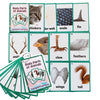 12Pcs/Set Animals Body Parts Kids Gifts English Flash Cards Pocket Card Educational Learning Baby Toys For Children Pre-Kindergarten