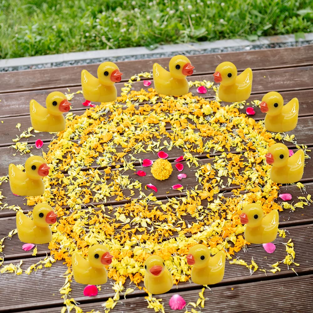 AWEELON 100 Pcs Mini Resin Ducks Tiny Ducks Miniature Duck Figures for Slime Charms DIY Craft Micro Landscape Garden Aquarium Do