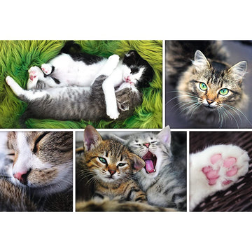 Trefl 1500 Piece Jigsaw Puzzle Just Cat Things Collage