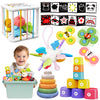 Fllobe Montessori Toys For Babies 6-12 Months, Baby Toys 6-12 Months, Montessori Toys For 1+ Year Old, Infant Toys 6-12 Months,