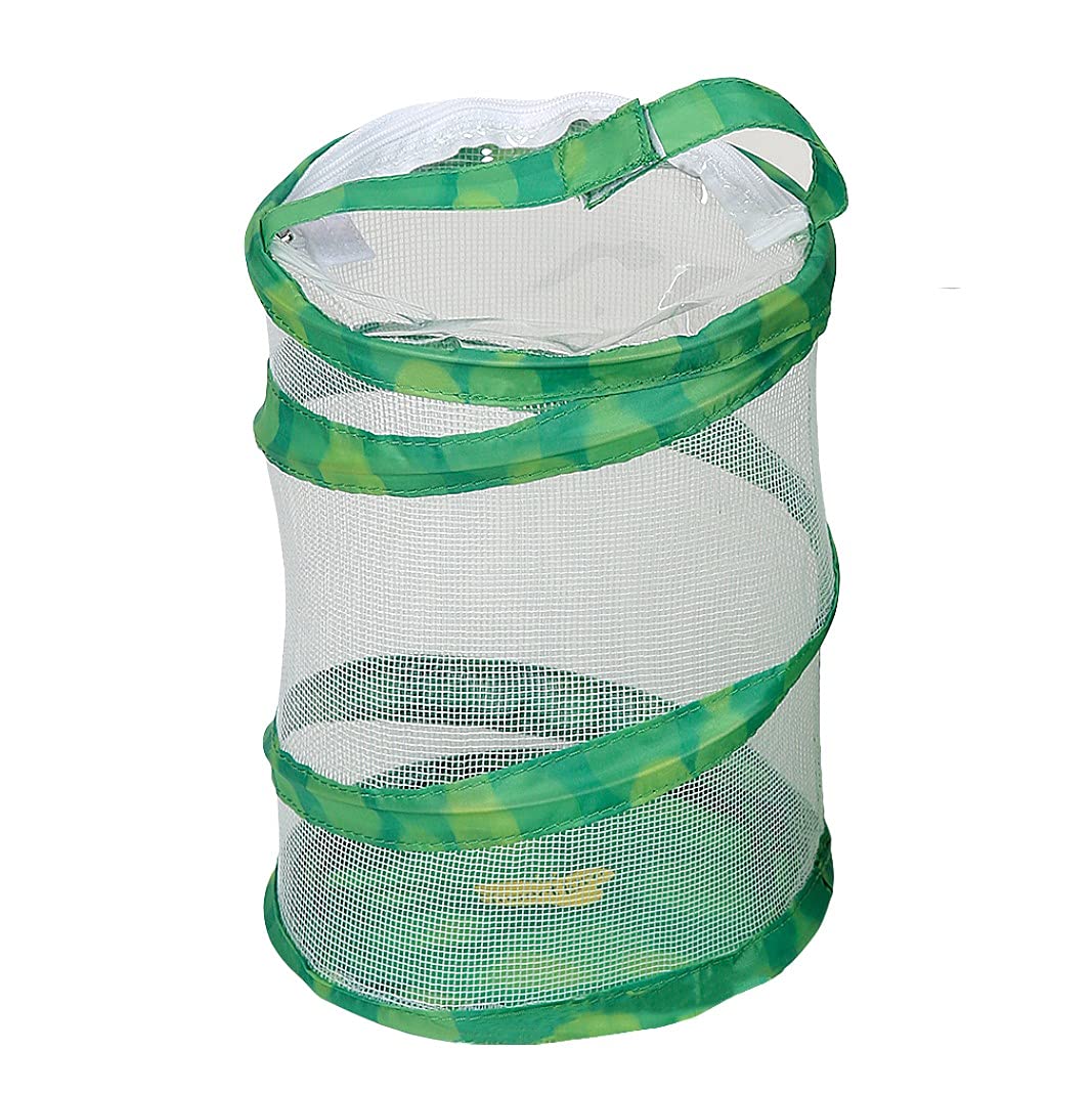 Insect Lore Mini Butterfly Habitat | Clear Mesh, Zipper, 8” Tall | Pop Up Folds Flat | Habitat For Most Insects