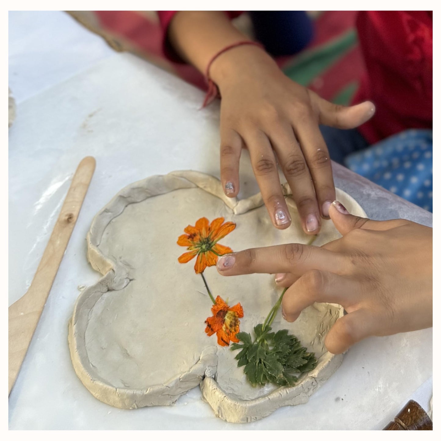 Pilkhan Mini Diy Clay Pottery & Planting Kit For Kids (Ages 3+) | Make Your Own Botanical Pinch Pot + Grow Kit | Creative Nature
